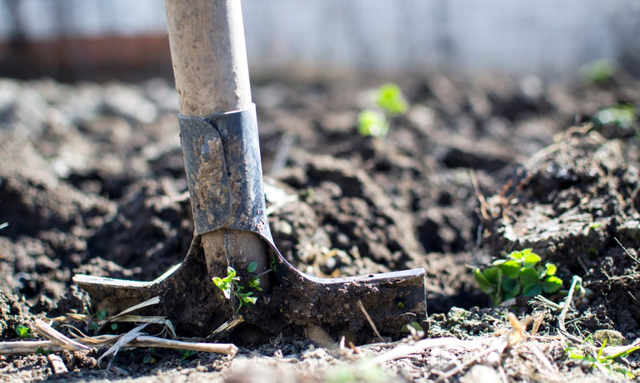 Aviary Photo_131347785748841762.png